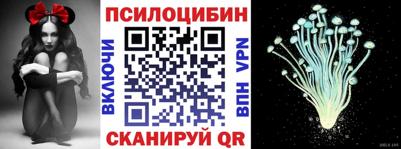 Псилоцибиновые грибы Psilocybe  Купить закладки  Кингисепп 