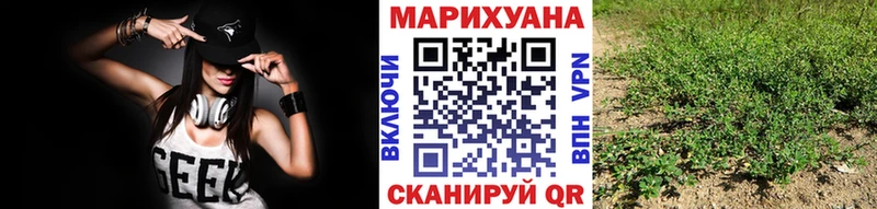 Купить где  Кингисепп  Бошки марихуана White Widow 